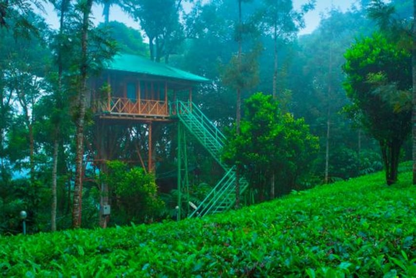 Dream Catcher Plantation Resort_1